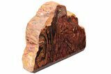 Free-Standing Polished Tiger Iron Stromatolite - Ga #222121-2